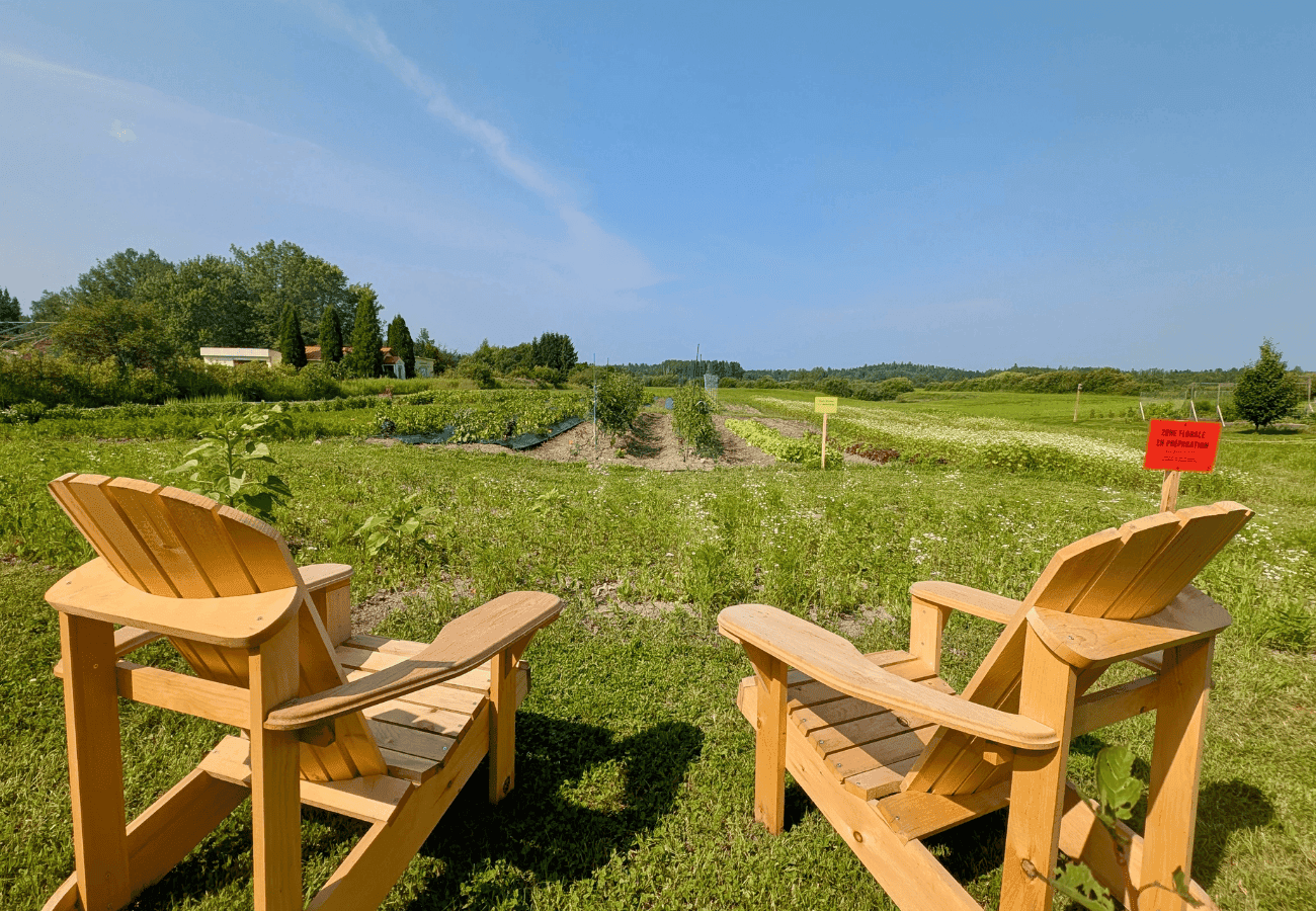 Chaises face aux jardins