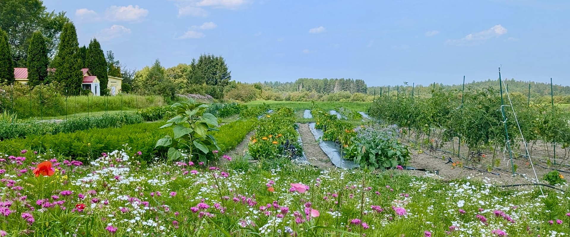 Panorama du jardin fleuri