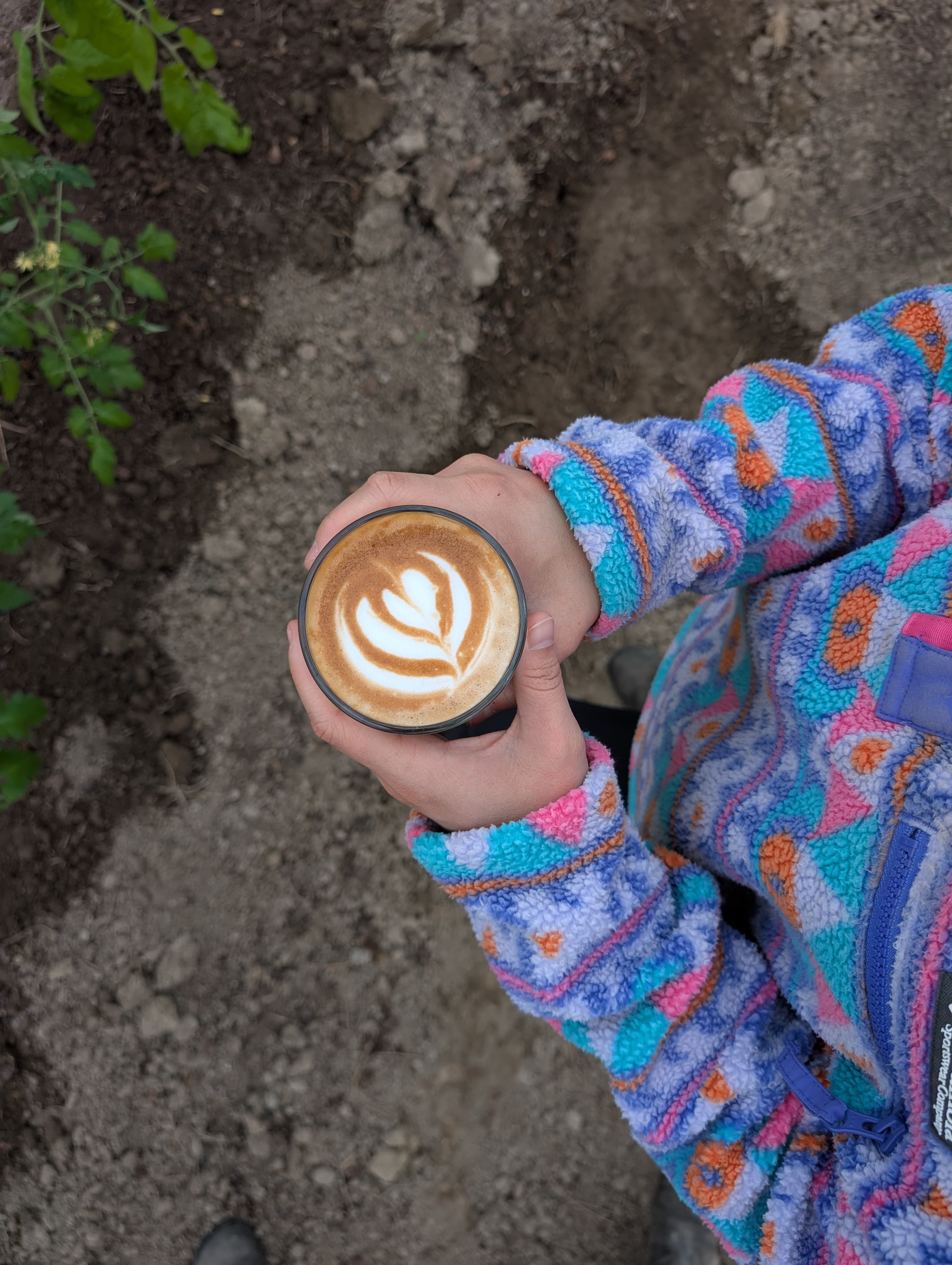 Café latte dans les jardins