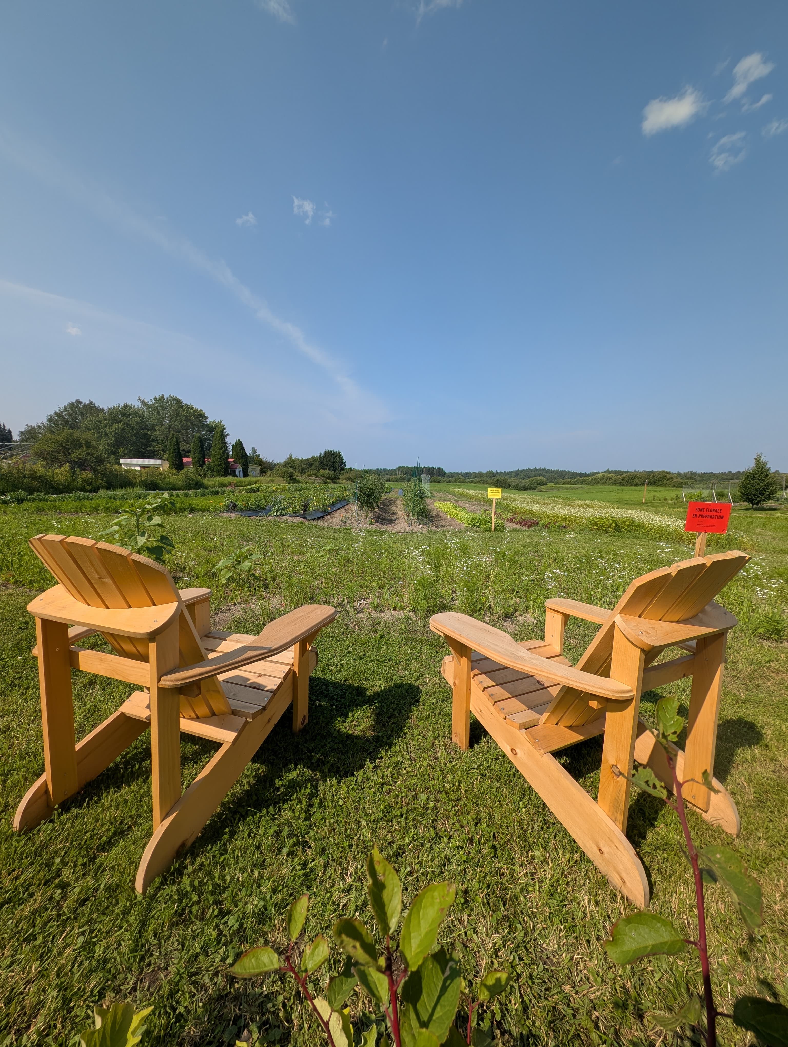 Vue sur les jardins du Café Maraîcher