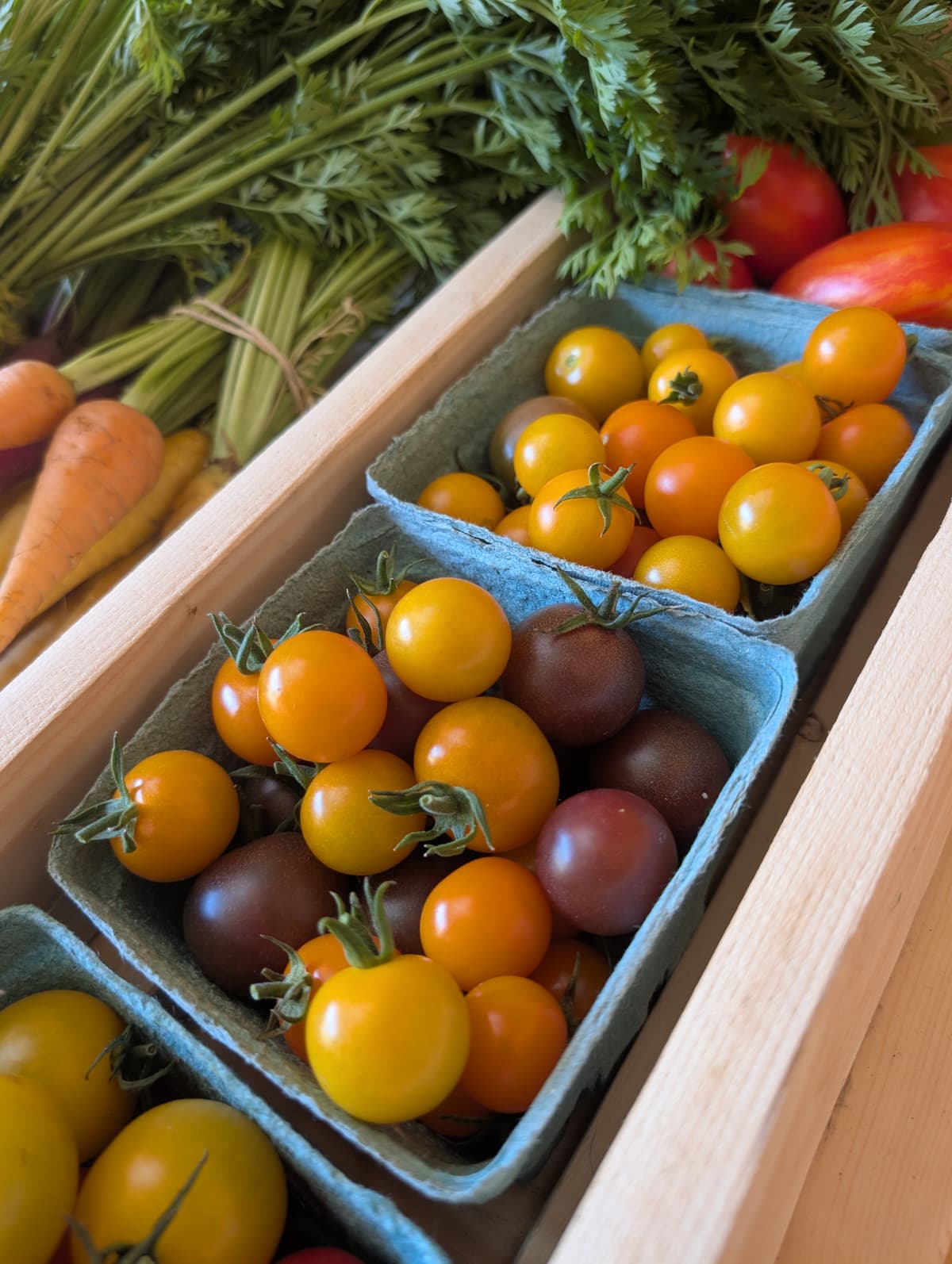 Tomates fraîches du kiosque