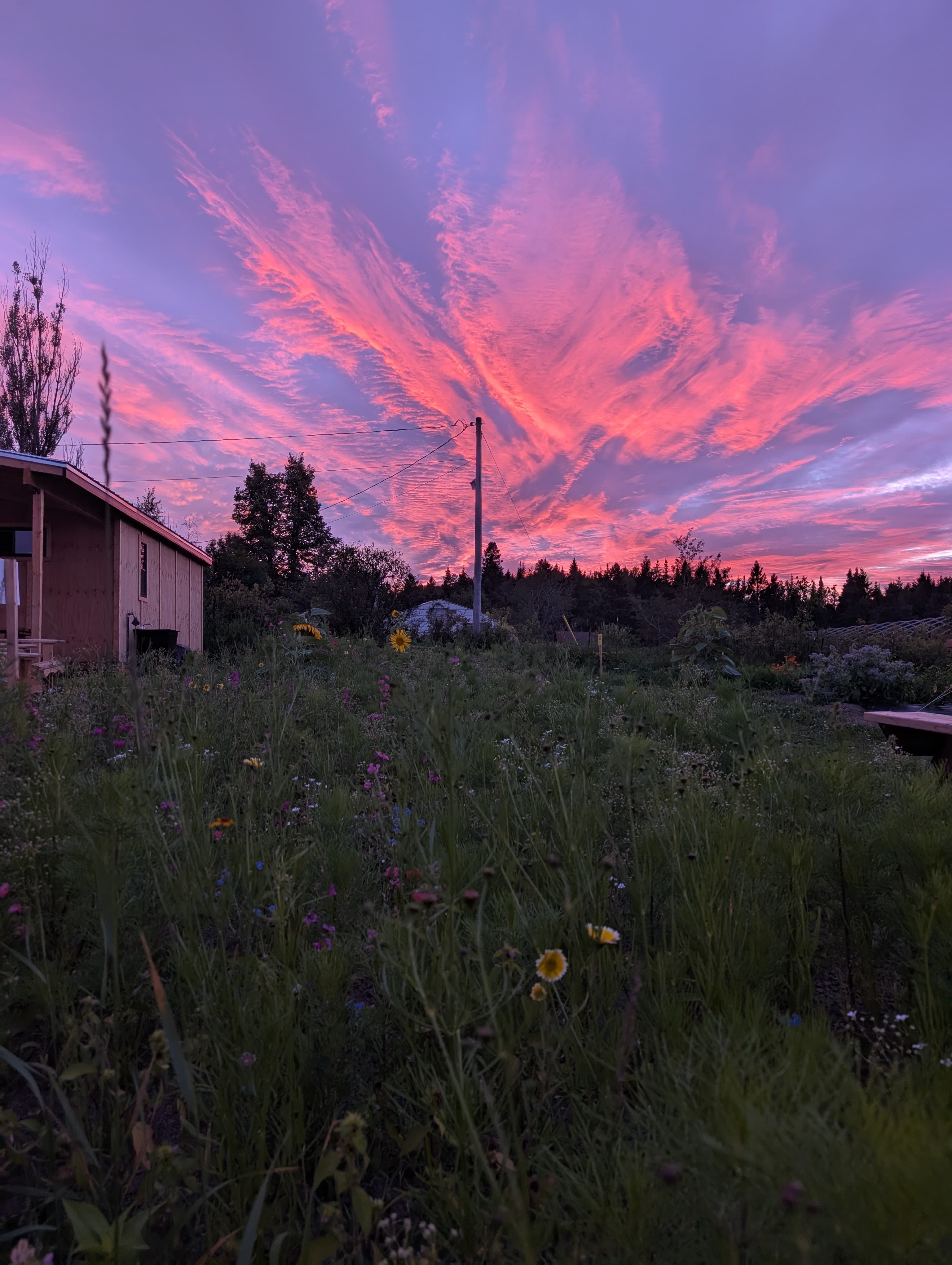 Coucher de soleil sur la ferme
