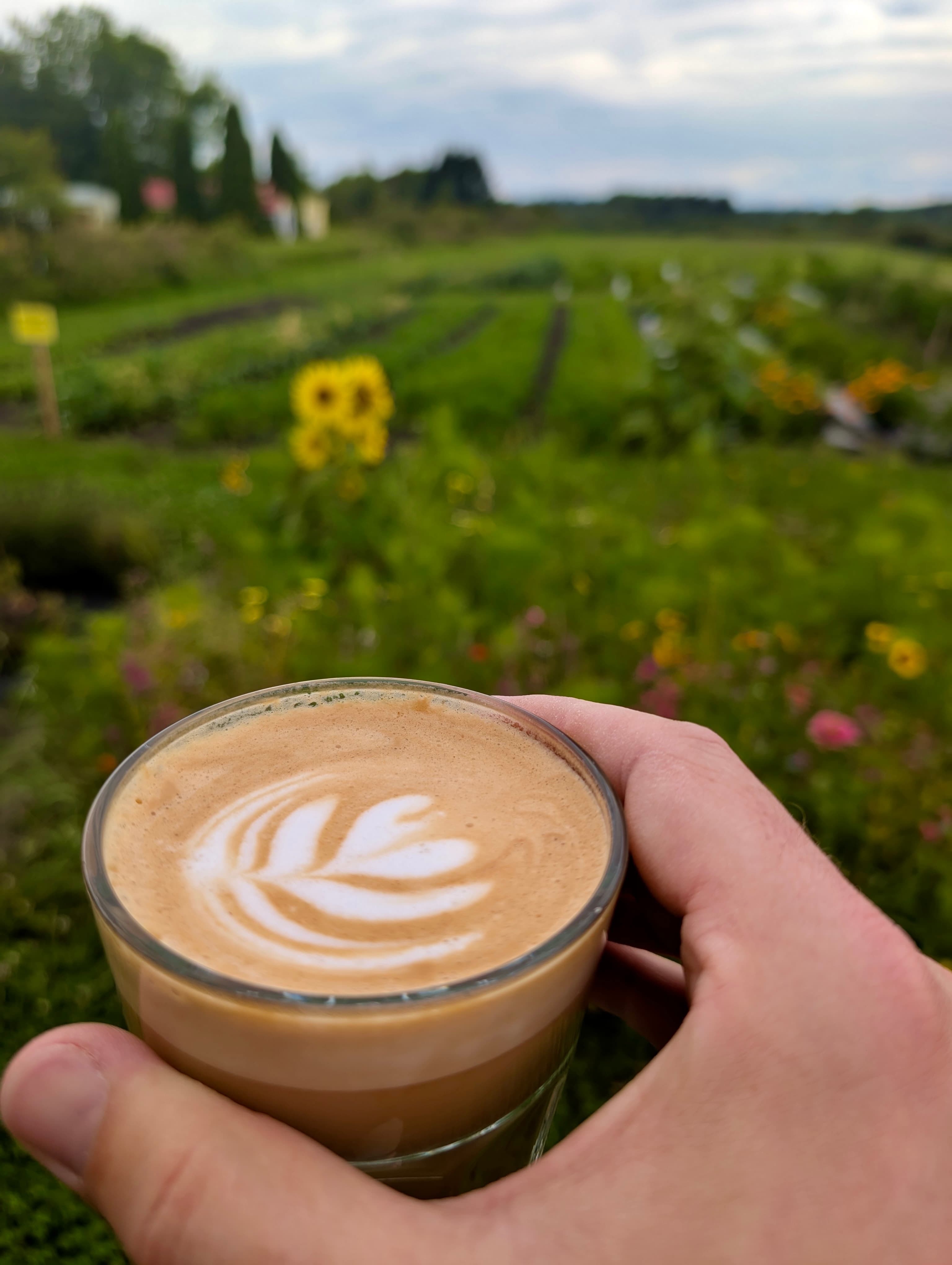 Café latte avec vue sur jardins